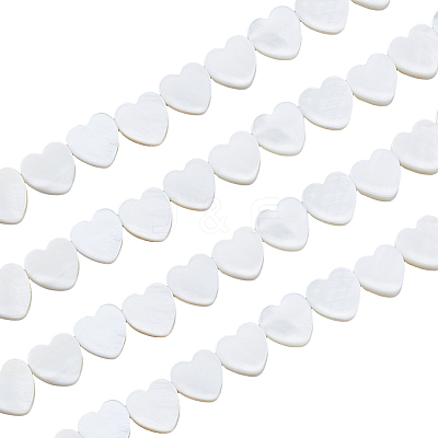 4 Strands Natural Freshwater Shell Beads Strands SHEL-HS0001-11-1