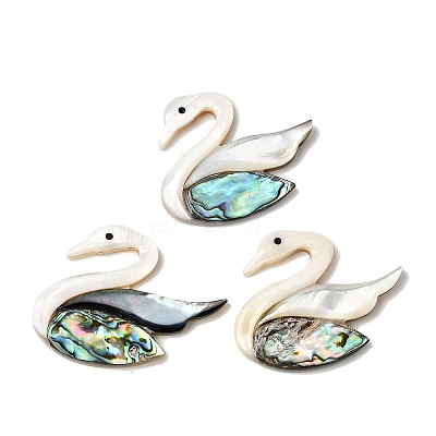 Natural Freshwater Shell & Paua Shell & White Shell Cabochons SHEL-C009-02-1