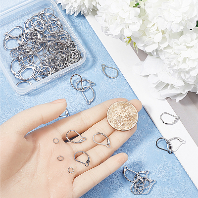 80Pcs 304 Stainless Steel Leverback Earring Findings STAS-SP0001-18P-1