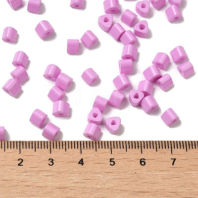 Baking Paint Glass Bead SEED-H002-K-D308-1