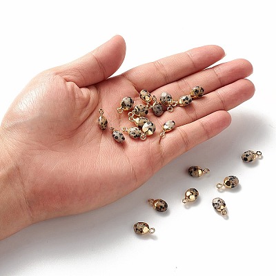 Electroplate Natural Dalmatian Jasper Charms G-S344-09C-1
