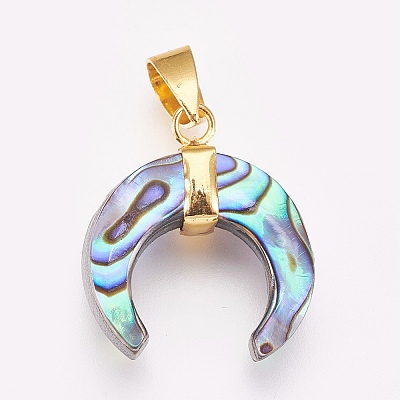 Paua Shell Pendants KK-G346-01B-1