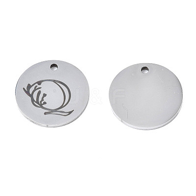 Non-Tarnish 304 Stainless Steel Charms LS-STAS-T059-26P-Q-1