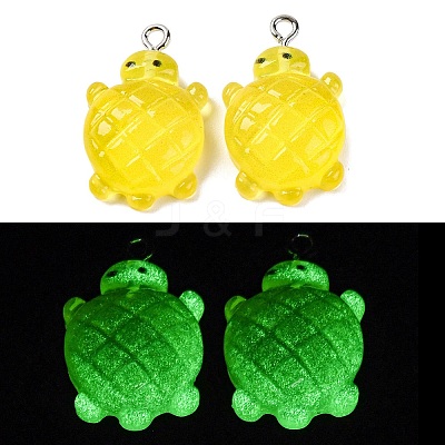 Gradient Color & Luminous Opaque Resin Pendants LS-RESI-S011-01H-1