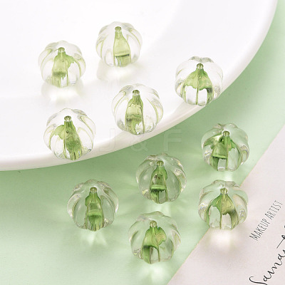 Transparent Acrylic Beads TACR-S154-19A-83-1