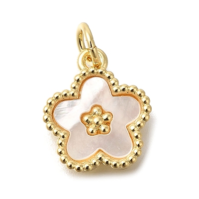 Brass Shell Pendants X-KK-R002-12G-1