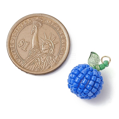 Seed Beads Beaded Pendants PALLOY-TA00159-04-1