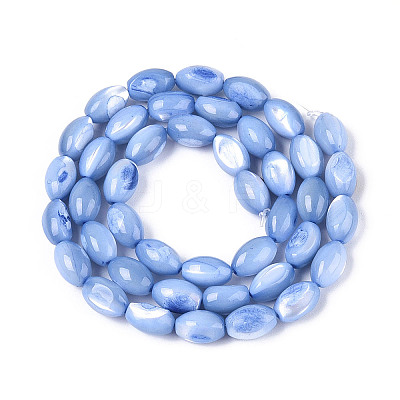 Natural Trochus Shell Beads Strands X-SHEL-K006-19-01A-1
