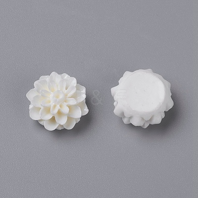 Resin Cabochons RB772Y-5-1