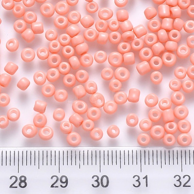 8/0 Baking Paint Glass Round Seed Beads SEED-S036-01B-17-1