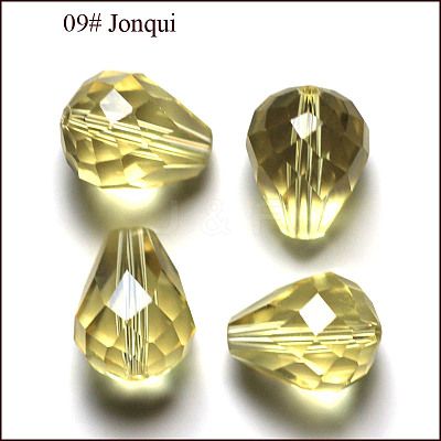 Imitation Austrian Crystal Beads SWAR-F062-12x10mm-09-1