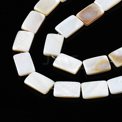 Natural Freshwater Shell Beads Strands X-SHEL-Q024-013-1
