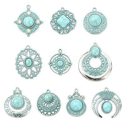 20Pcs 10 Styles Bohemia Styles Alloy & Acrylic Pendants FIND-CJ0005-70-1