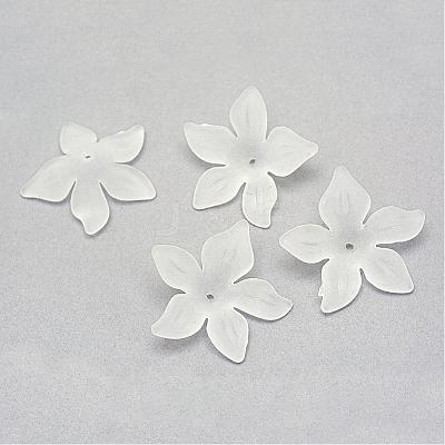 Transparent Acrylic Beads FACR-Q009-14J-1