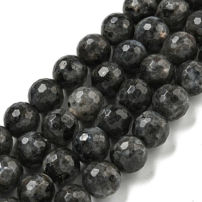 Natural Larvikite Beads Strands G-E571-A09-03-1