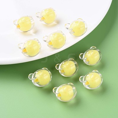 Transparent Acrylic Beads MACR-S373-122-B05-1