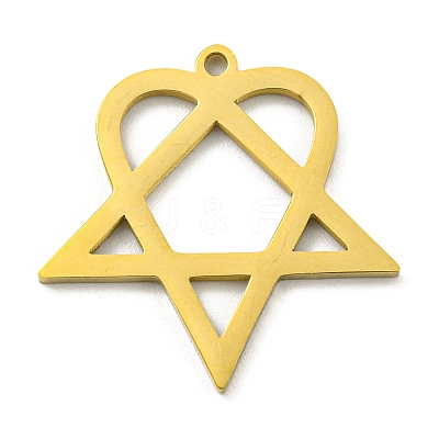 304 Stainless Steel Pendants STAS-R228-03G-1