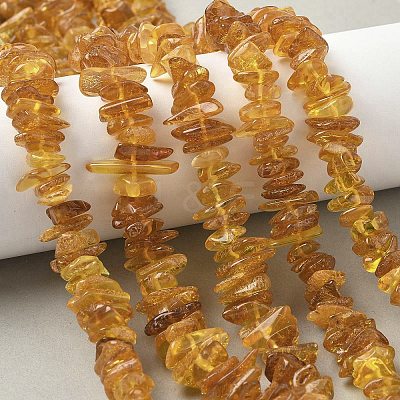 Natural Amber Beads Strands G-L095-D01-06-1