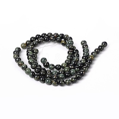 Natural Kambaba Jasper Beads Strands G-M172-12mm-01-1