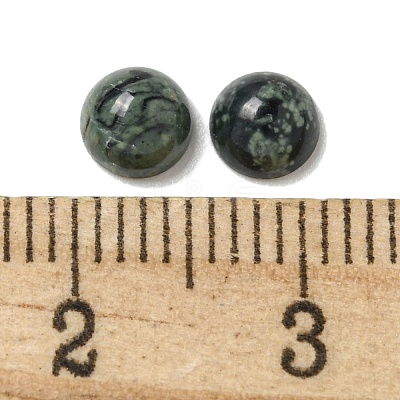 Natural Kambaba Jasper Cabochons G-Q173-01B-22-1