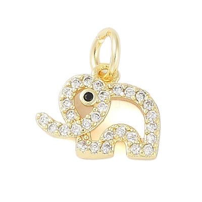Rack Plating Brass Cubic Zirconia Charms KK-Z060-12G-1