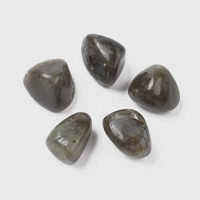 Natural Labradorite Beads G-K302-A09-1