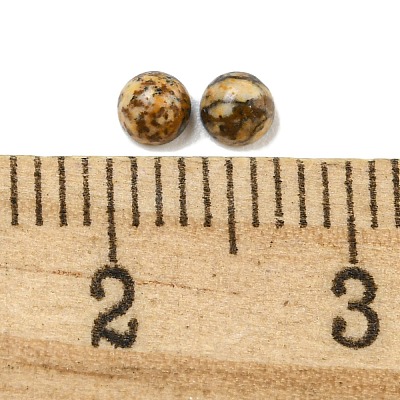 Natural Picture JasperCabochons G-Q173-01A-07-1