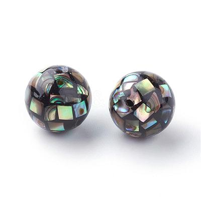 Natural Paua Shell Beads SSHEL-Q298-12mm-09-1