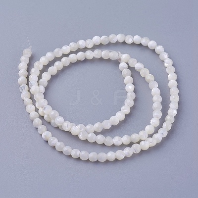 Shell Beads Strands SSHEL-E571-38-3mm-1
