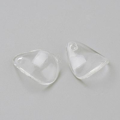 Transparent Acrylic Pendants TACR-Q241-05-1