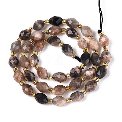 Natural Black Sunstone Beads Strands G-N342-35-8x6-08-1