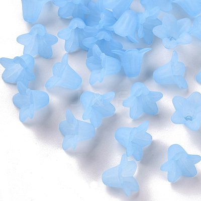 Transparent Acrylic Beads X-PLF018-06-1