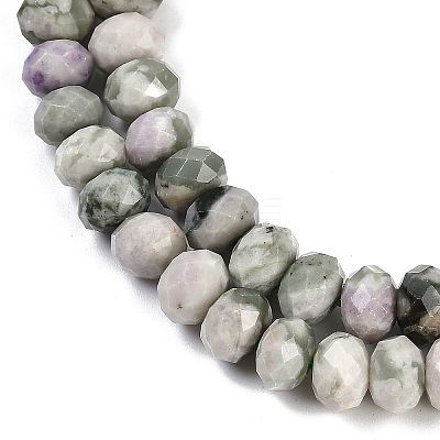Natural Peace Jade Beads Strands G-B125-J01-01-1