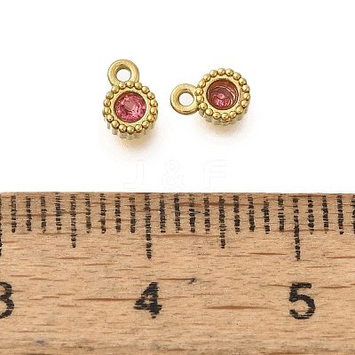 304 Stainless Steel Micro Pave Cubic Zirconia Charms STAS-U027-02G-08-1