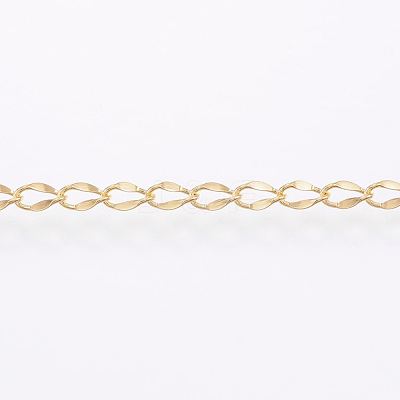 3.28 Feet Handmade Ion Plating(IP) 304 Stainless Steel Twisted Chain Curb Chains X-CHS-H007-57B-1