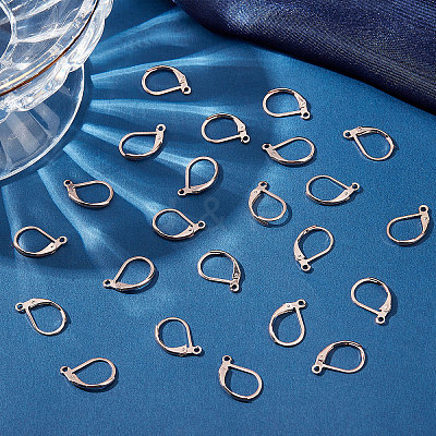 50Pcs 304 Stainless Steel Leverback Earring Findings STAS-BBC0001-44RG-1