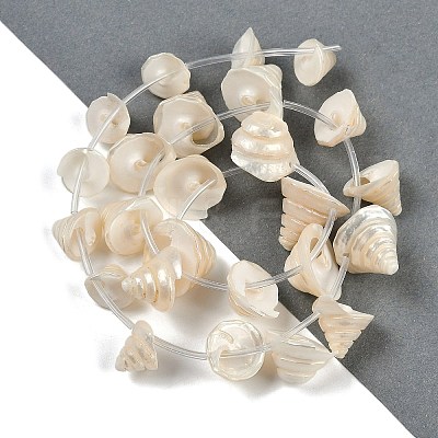 Natural Shell Beads Strands SHEL-K009-11-1
