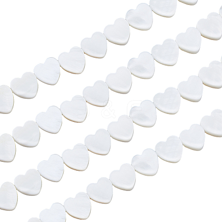 4 Strands Natural Freshwater Shell Beads Strands SHEL-HS0001-11-1