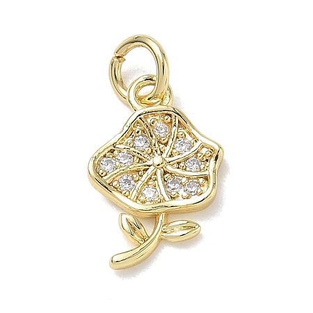 Brass with Rhinestone Charms KK-CBAD872-01G-07-1