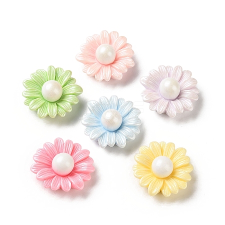 Resin Cabochons CRES-D323-04-1