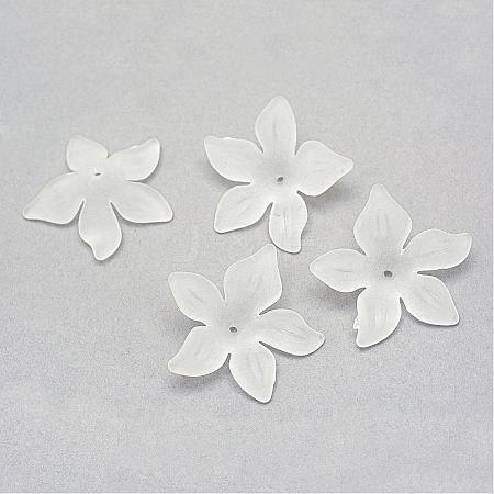 Transparent Acrylic Beads FACR-Q009-14J-1