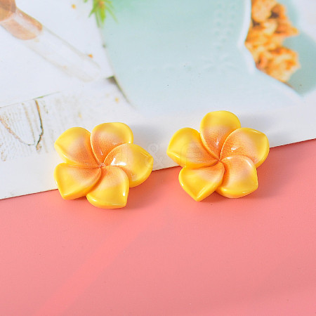 Resin Cabochon CRES-WH20001-06B-1