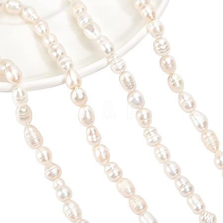 2 Strands Natural Cultured Freshwater Pearl Beads Strands PEAR-NB0001-10-1