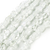 Natural Green Quartz Beads Strands G-P497-01C-67-1