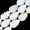 Natural Freshwater Shell Beads Strands SHEL-Q024-004-1