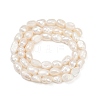 Natural Cultured Freshwater Pearl Beads Strands PEAR-P064-20H-02A-3