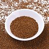 MIYUKI Delica Beads X-SEED-J020-DB2109-2