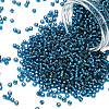 TOHO 8/0 Round Beads SEED-TR08-0023BD-1