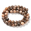 Natural Black Sunstone Beads Strands G-U009-A01-03-3