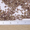 MIYUKI Delica Beads Small SEED-JP0008-DBS0122-4